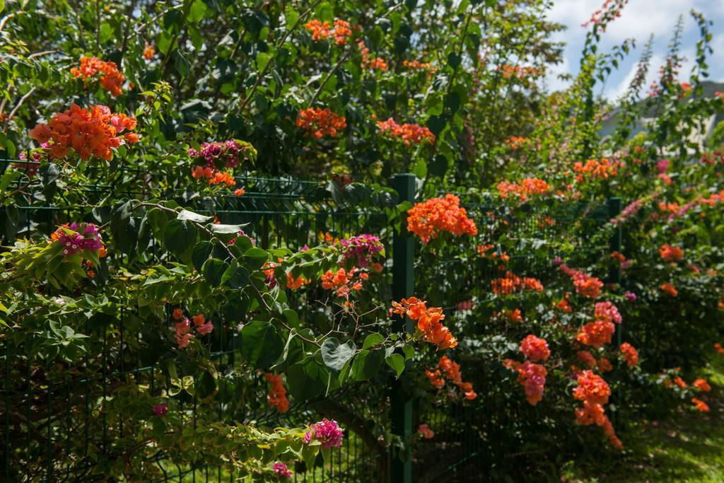 Villas Idea Anse Kerlan Exteriér fotografie